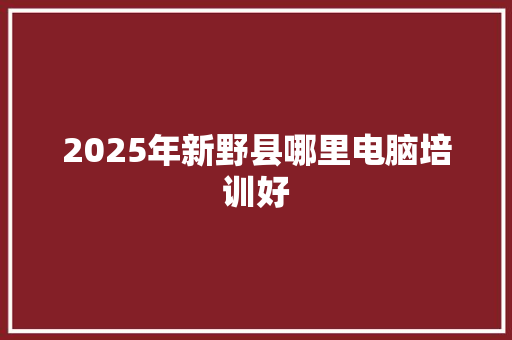 2025年新野县哪里电脑培训好 采访稿