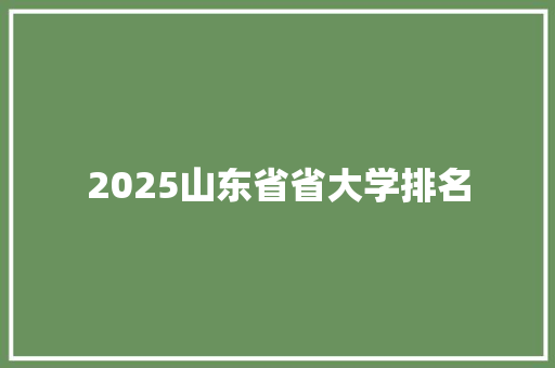 2025山东省省大学排名