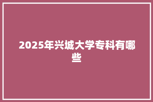 2025年兴城大学专科有哪些