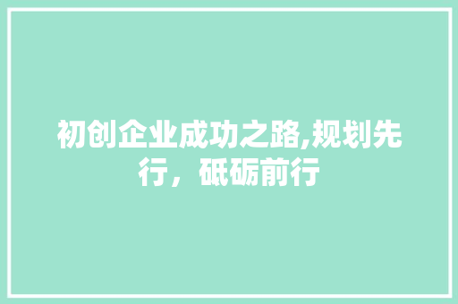 初创企业成功之路,规划先行，砥砺前行