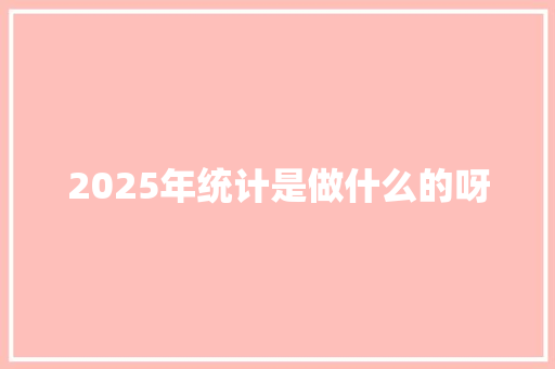 2025年统计是做什么的呀