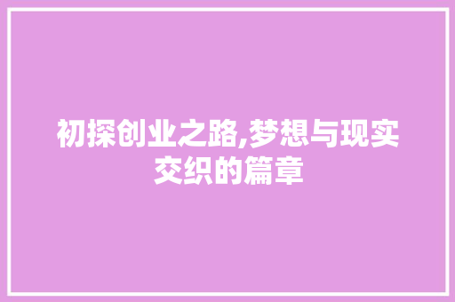 初探创业之路,梦想与现实交织的篇章