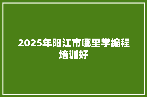 2025年阳江市哪里学编程培训好 工作报告