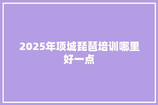 2025年项城琵琶培训哪里好一点