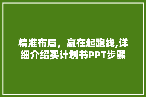精准布局，赢在起跑线,详细介绍买计划书PPT步骤