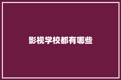 影视学校都有哪些 工作报告
