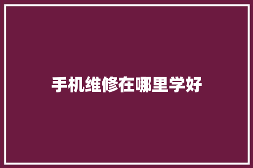 手机维修在哪里学好