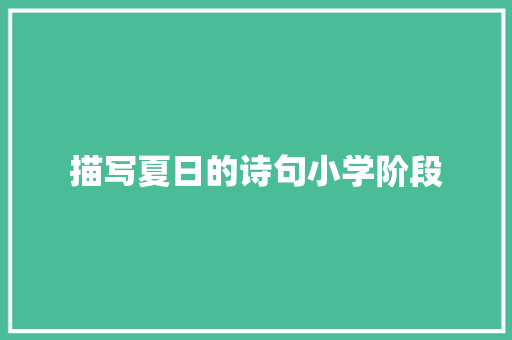 描写夏日的诗句小学阶段