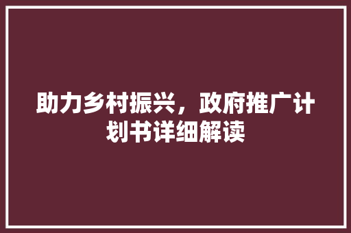 助力乡村振兴，政府推广计划书详细解读