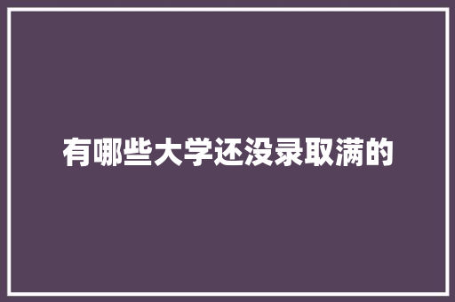 有哪些大学还没录取满的