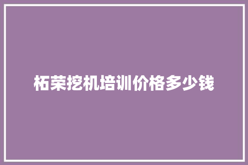 柘荣挖机培训价格多少钱