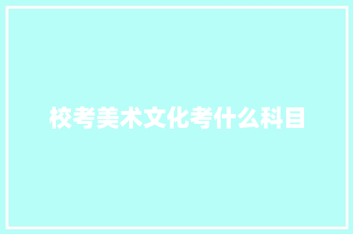 校考美术文化考什么科目