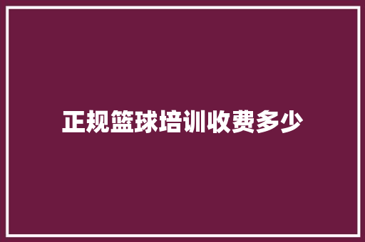 正规篮球培训收费多少