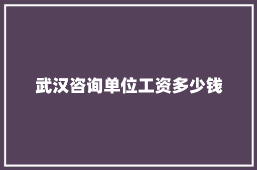 武汉咨询单位工资多少钱