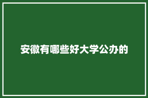 安徽有哪些好大学公办的