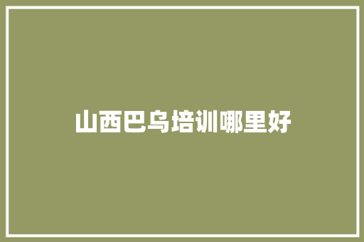 山西巴乌培训哪里好