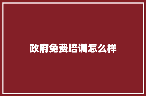 政府免费培训怎么样