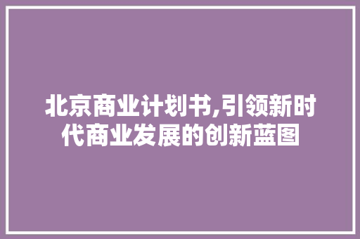 北京商业计划书,引领新时代商业发展的创新蓝图