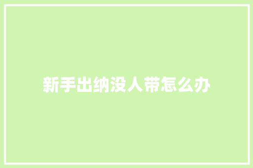 新手出纳没人带怎么办