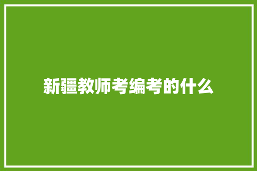 新疆教师考编考的什么