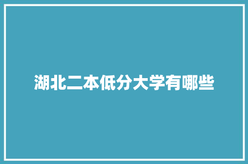 湖北二本低分大学有哪些