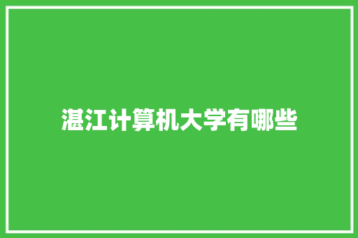 湛江计算机大学有哪些