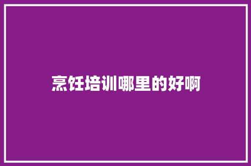 烹饪培训哪里的好啊