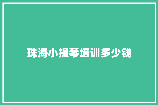 珠海小提琴培训多少钱