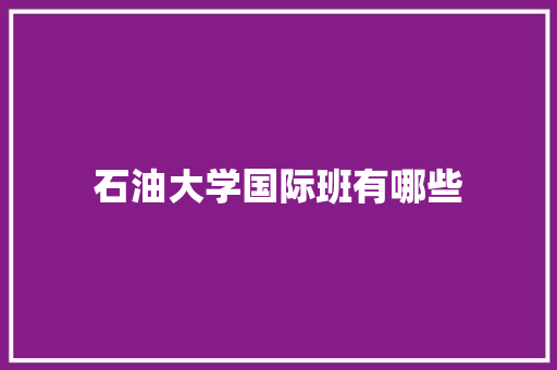 石油大学国际班有哪些