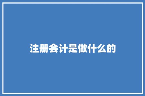 注册会计是做什么的