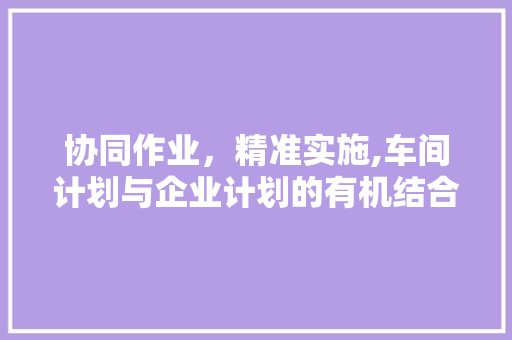 协同作业，精准实施,车间计划与企业计划的有机结合