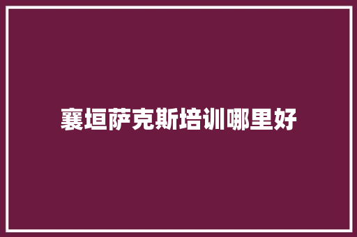 襄垣萨克斯培训哪里好