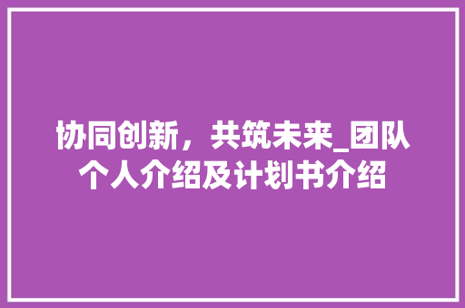 协同创新，共筑未来_团队个人介绍及计划书介绍