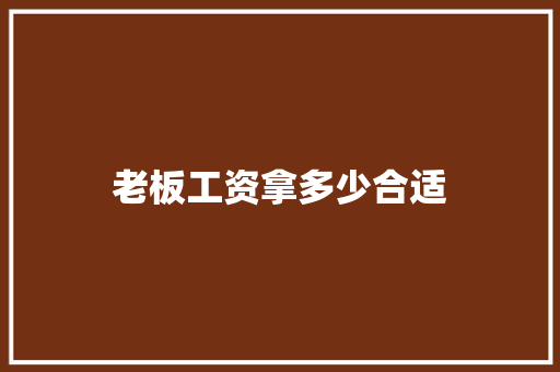 老板工资拿多少合适