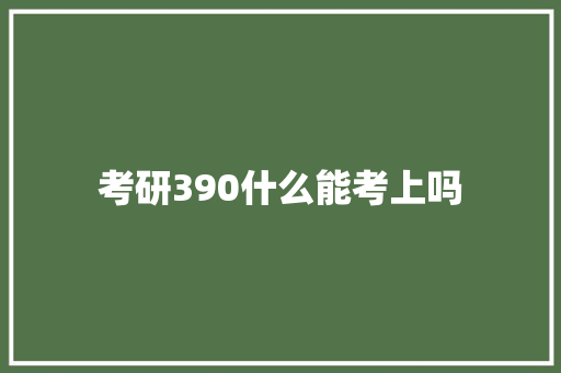 考研390什么能考上吗