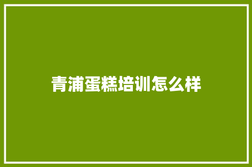 青浦蛋糕培训怎么样