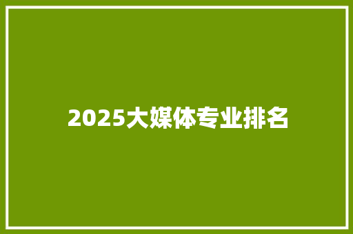 2025大媒体专业排名