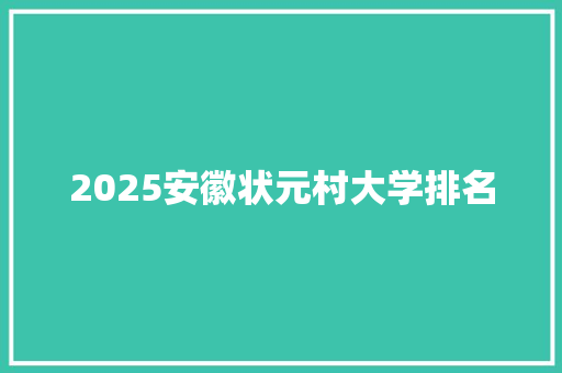 2025安徽状元村大学排名 工作类