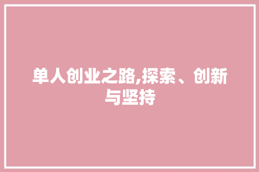 单人创业之路,探索、创新与坚持