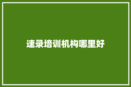 速录培训机构哪里好