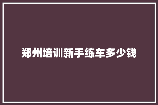 郑州培训新手练车多少钱