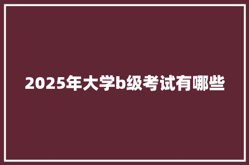2025年大学b级考试有哪些