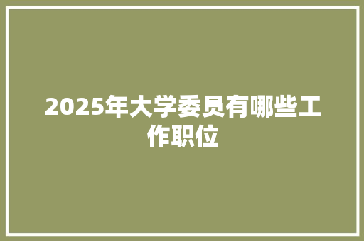 2025年大学委员有哪些工作职位