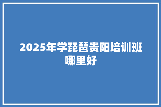 2025年学琵琶贵阳培训班哪里好