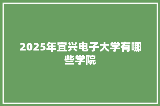 2025年宜兴电子大学有哪些学院