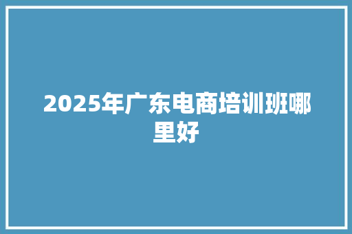 2025年广东电商培训班哪里好