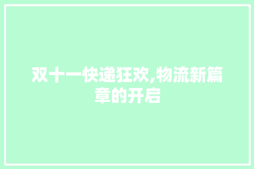 双十一快递狂欢,物流新篇章的开启