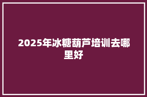 2025年冰糖葫芦培训去哪里好 工作总结