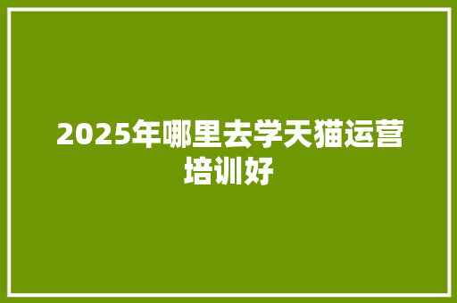 2025年哪里去学天猫运营培训好