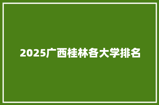 2025广西桂林各大学排名